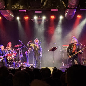 The Psycochelic Furs